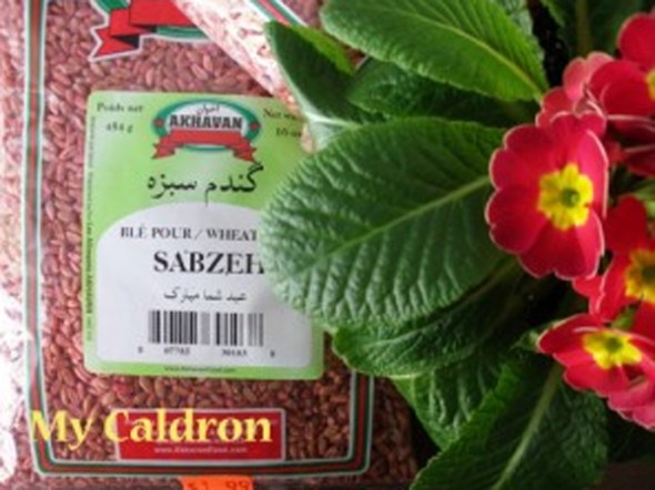Time to grow Norooz seeds, sabzeh | My Caldron